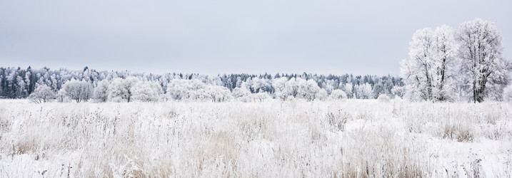 Similar image 18136817