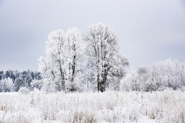 Similar image 18136820