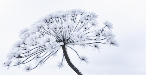 Similar image 18136825