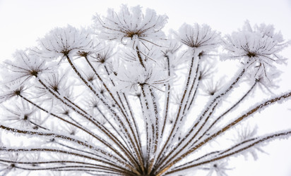 Similar image 18136830