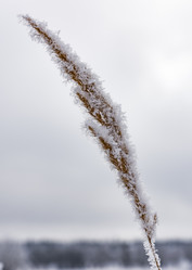 Similar image 18136833