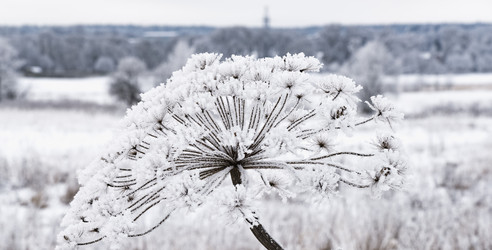 Similar image 18136837