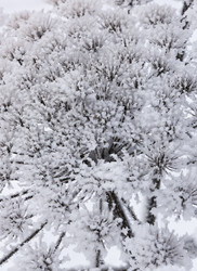 Similar image 18136841