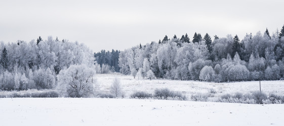 Similar image 18136856