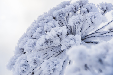 Similar image 18136887