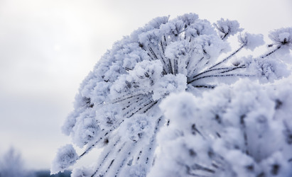 Similar image 18136900