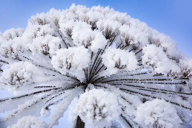 Similar image 18136949