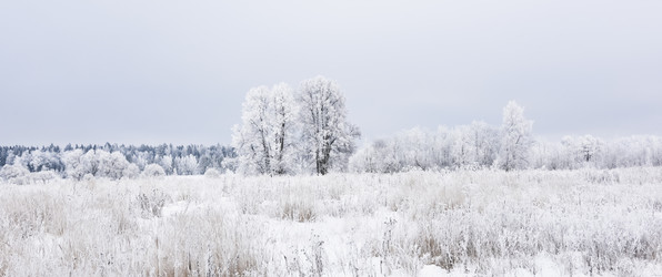 Similar image 18136824