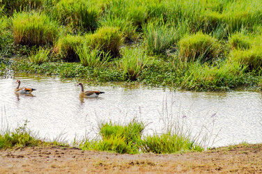 Similar image 18512256