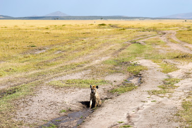 Similar image 18512257