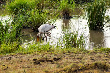 Similar image 18512263