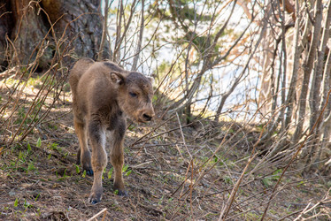 Similar image 17819073