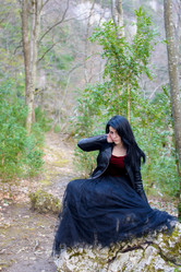 Similar image 17819216