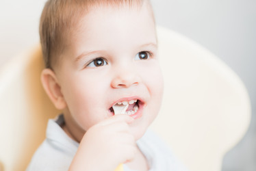 Similar image 17817701