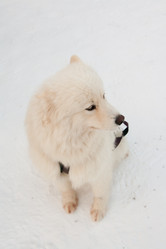 Similar image 17815598