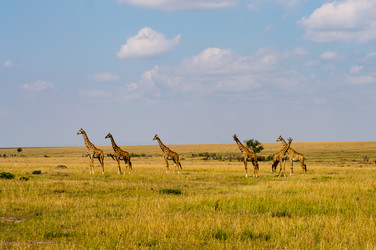 Similar image 18512236