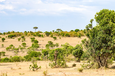 Similar image 18512237