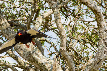 Similar image 18512240