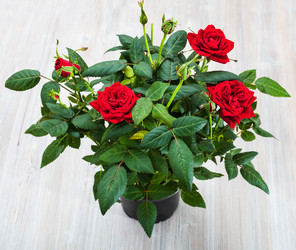 Similar image 17818691