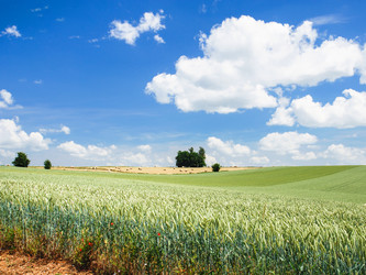 Similar image 17818737