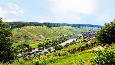 Similar image 17818786