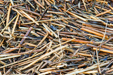 Similar image 18510558