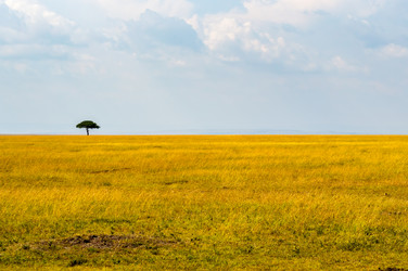 Similar image 18512258