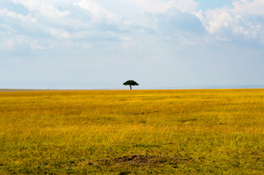 Similar image 18512259