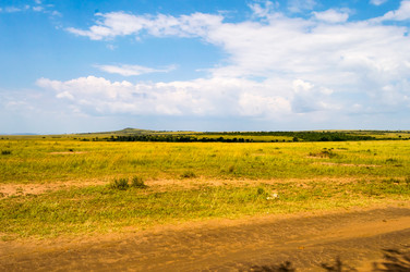 Similar image 18512264