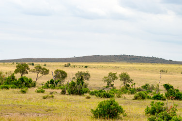 Similar image 18512267