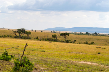 Similar image 18512286