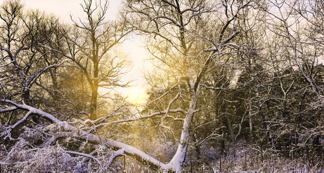 Similar image 18136846