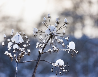 Similar image 18136855