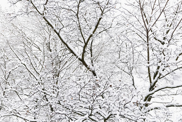 Similar image 18136829