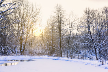 Similar image 18136881