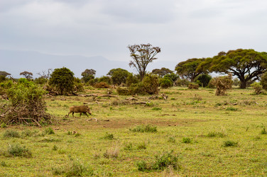 Similar image 18512218