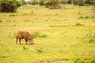 Similar image 18512219