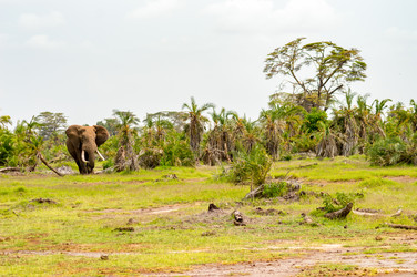 Similar image 18512221