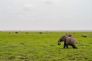 Similar image 18512222