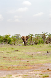 Similar image 18512239