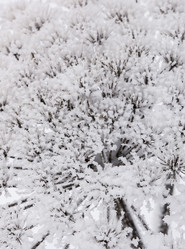 Similar image 18136945