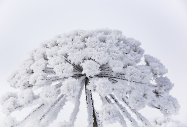 Similar image 18136834