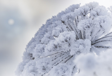 Similar image 18136838