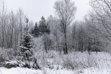 Similar image 18136898