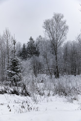 Similar image 18136901