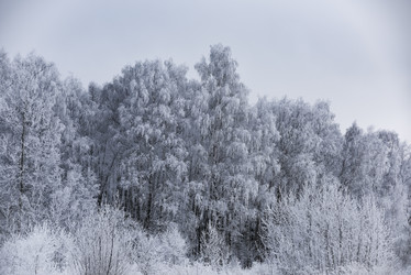 Similar image 18136908