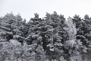 Similar image 18136920