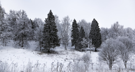 Similar image 18136944