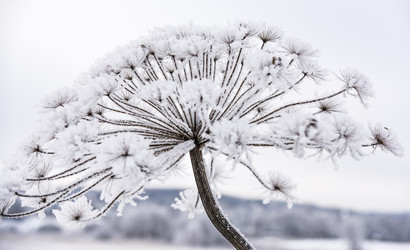 Similar image 18136952