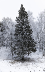 Similar image 18136954